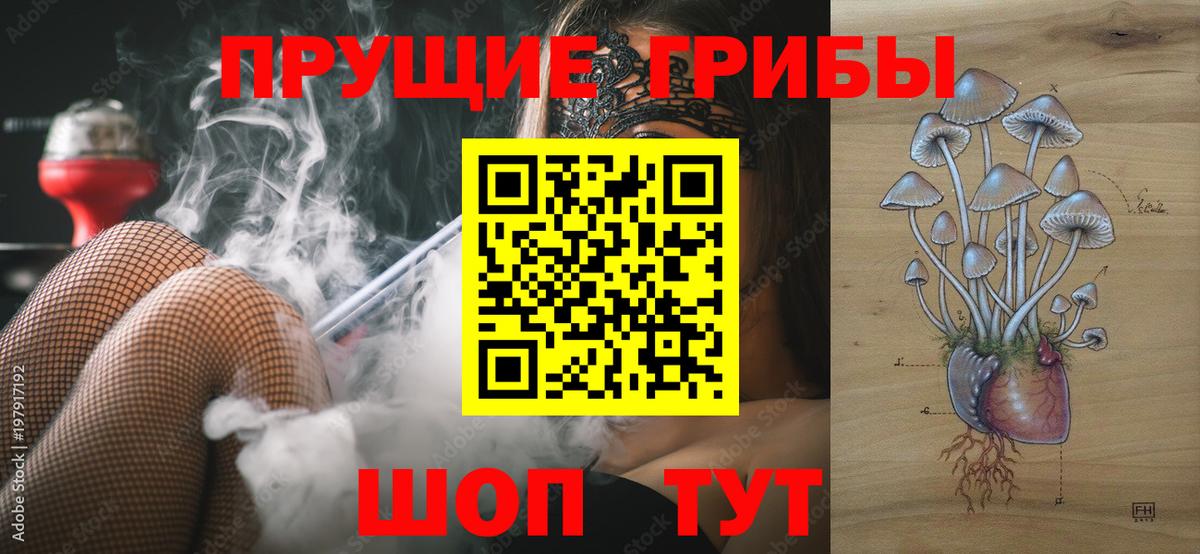 Галлюциногенные грибы Psilocybe  купить закладку  Лесосибирск  Вход с VPN 